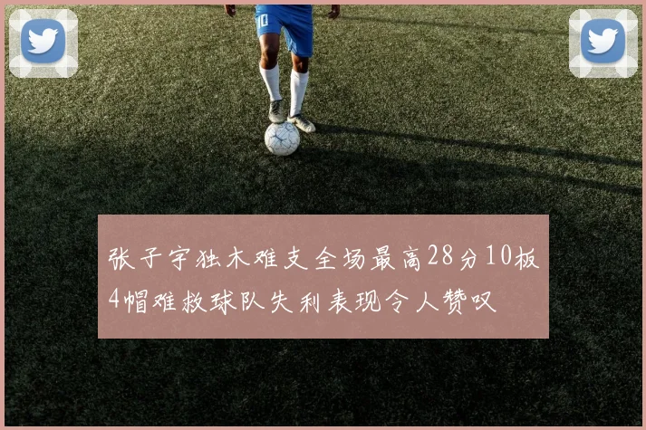 张子宇独木难支全场最高28分10板4帽难救球队失利表现令人赞叹
